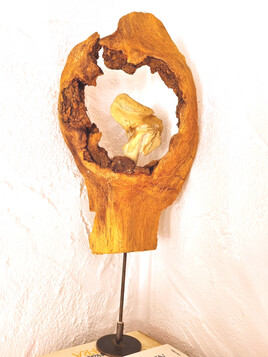 F&eacute;minit&eacute;