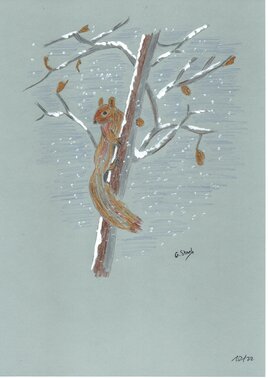 Ecureuil de la for&ecirc;t