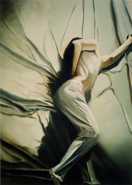 La toile d'araignée