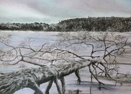 Lac gel&eacute;(vendu)