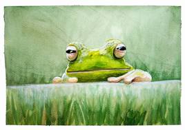 AQUARELLE - Aqua 002