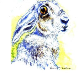 Spring hare