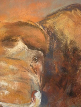 Un élephant ( extrait )