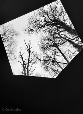 Regarder au-del&agrave;