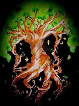 For&ecirc;t enchant&eacute;e