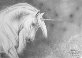 Un cadeau pour ma princesse