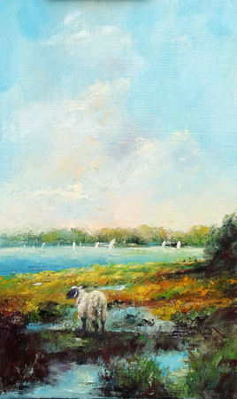 Le mouton en baie de somme