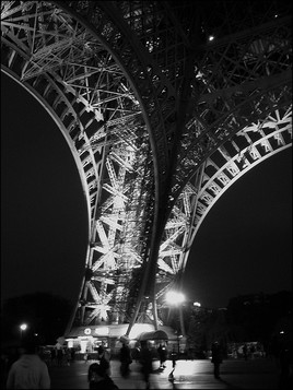 Arbre des " temps modernes"