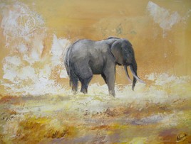 L'éléphant solitaire de Kruger