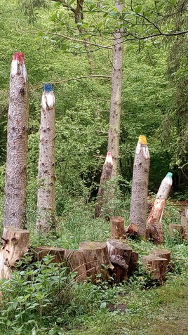 les crayons de la forêt