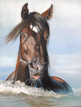 portrait cheval