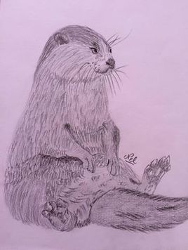 Loutre assise