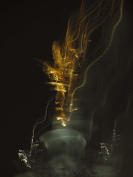 nini le g&eacute;nie