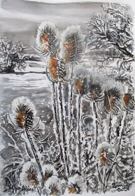 Chardons sous la neige