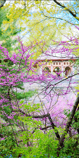 Un printemps &agrave; New York 9