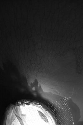 L'absente [Et bizarerie lumineuse]