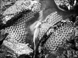 Buller en toute tranquilité...