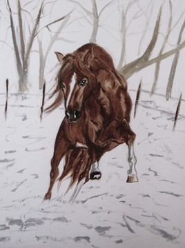 Cheval dans la neige