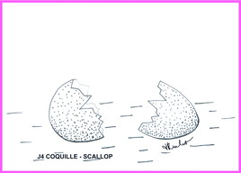 Inktober 2022 J4 : Coquille - Scallop
