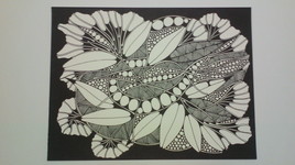 Floraison hivernale suite