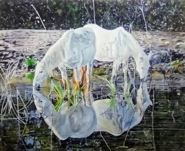 "Reflets de Camargue"