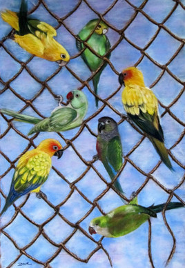 Libert&eacute; dans les deux sens