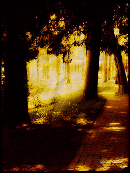 tout feu,tout flamme