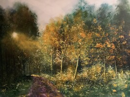 Fin d’après-midi en forêt