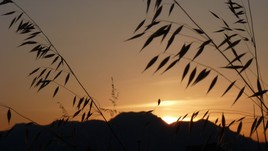 coucher de soleil champêtre