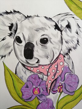 Koala