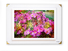 Le printemps est revenu