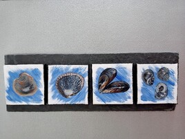 "Coquillages bretons"