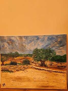 Oliviers intemporels