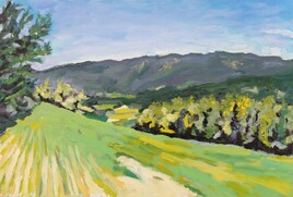 Luberon au printemps