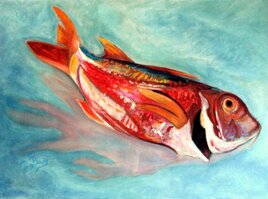 ROUGET DE L'&Icirc;LE DE HOUAT