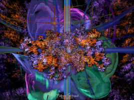 Fleurs fractales f004