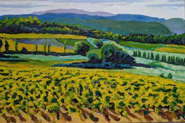 vignes