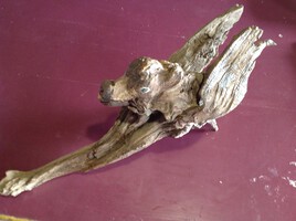 dragon à tête de chien