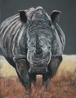 Rhinocéros dans la brousse