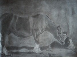 IDOLE ( race Cheval de trait) IDOLE ( race Cheval de trait)