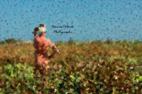 Le regard de l'homme ...