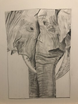 L&rsquo;amour &agrave; la savane