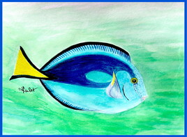 Chirurgien bleu (Paracanthurus hepatus) / Painting A Blue surgeonfish