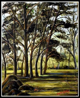 Les pins du parc nord au Ulis