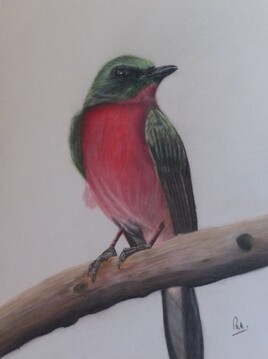 Affogato &agrave; Trente