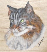 Chat sib&eacute;rien