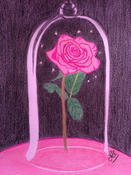La rose de la Belle