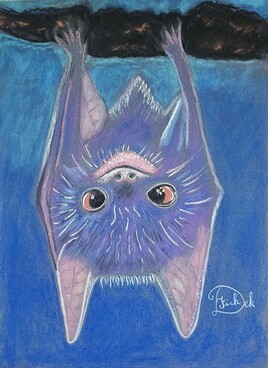 Chauve-souris