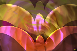 Beautiful Birds Five