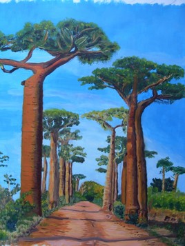 sanctuaire des baobabs madagascar